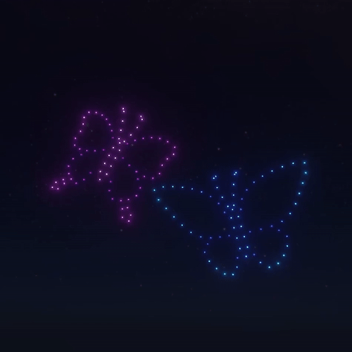 Butterflies_150-1