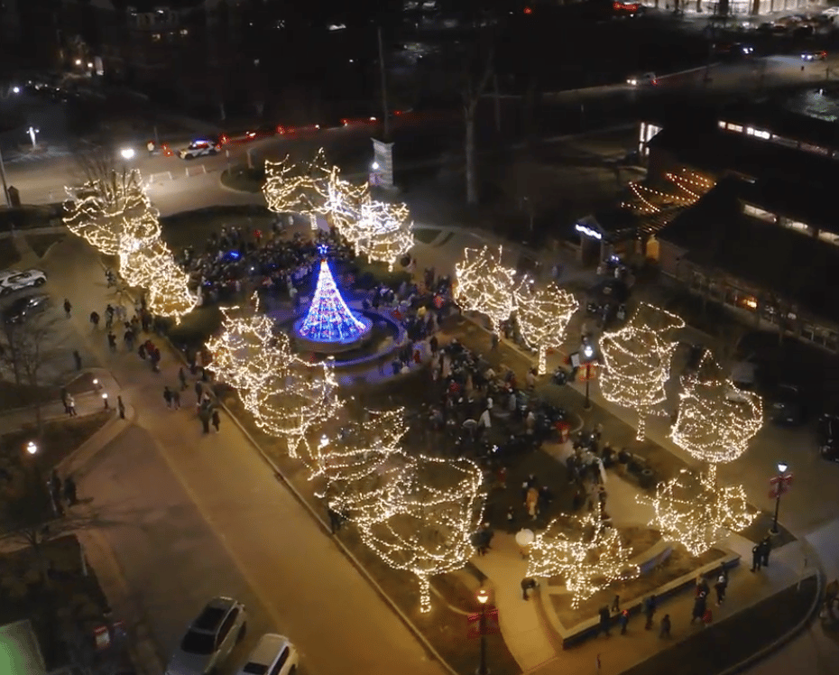 Tree Lighting