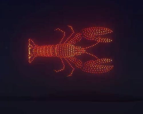 An image of a Maine lobster from the Windjammer Days NLDS show. An image of a Maine lobster from the Windjammer Days NLDS show.