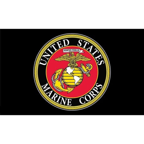 An image from an NLDS drone show featuring a Marine Corps insignia that appeared in the NLDS Muskegon Celebration of Service show.
