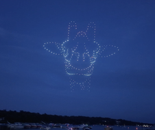 An image from an NLDS drone show featuring a 3D giraffe that appeared in the NLDS Lake Geneva show. An image from an NLDS drone show featuring a 3D giraffe that appeared in the NLDS Lake Geneva show.