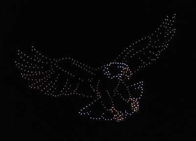 An image from the Milwaukee Lakefront show featuring an eagle.