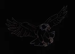 An image from an NLDS drone show featuring an eagle that appeared in the NLDS Milwaukee County 4th of July show. An image from an NLDS drone show featuring an eagle that appeared in the NLDS Milwaukee County 4th of July show.