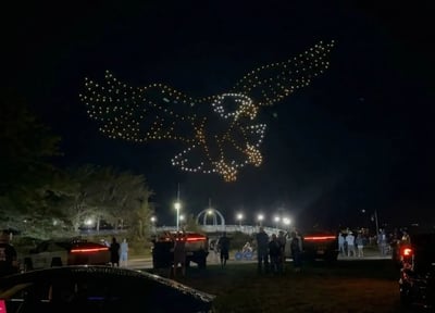 An image from the Muskegon Tesla Owners show featuring an eagle.
