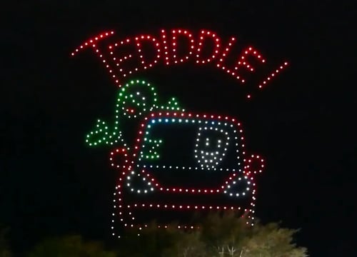 An image from the Muskegon Tesla Owners show featuring the Tediddle! logo.