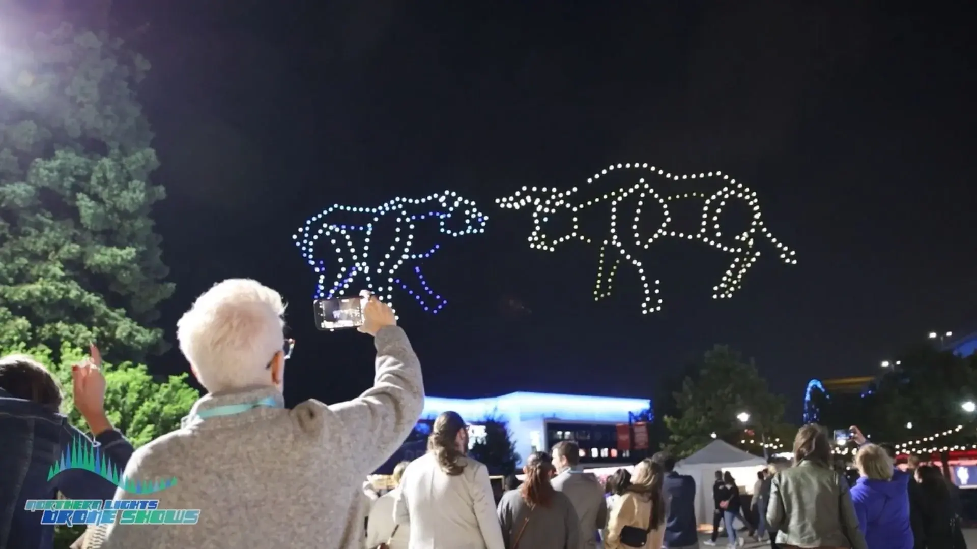 An image from an the Baird NLDS drone show depicting a man recording a bear and bull fighting.