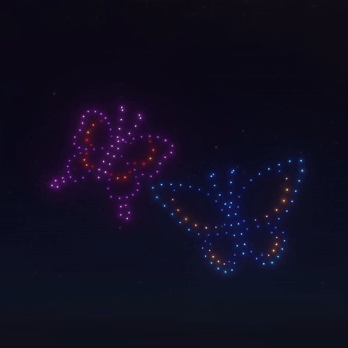 Butterflies_200