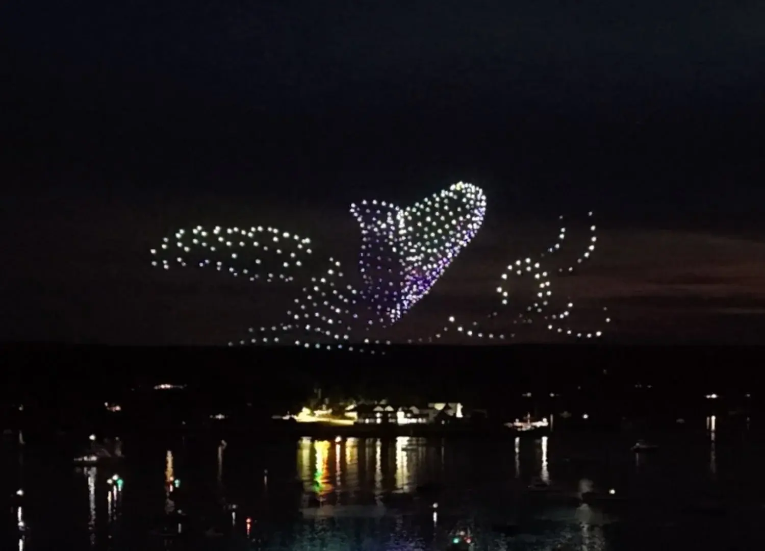 An image of a breaching whale that appeared at the Windjammer Days NLDS show. An image of a breaching whale that appeared at the Windjammer Days NLDS show.